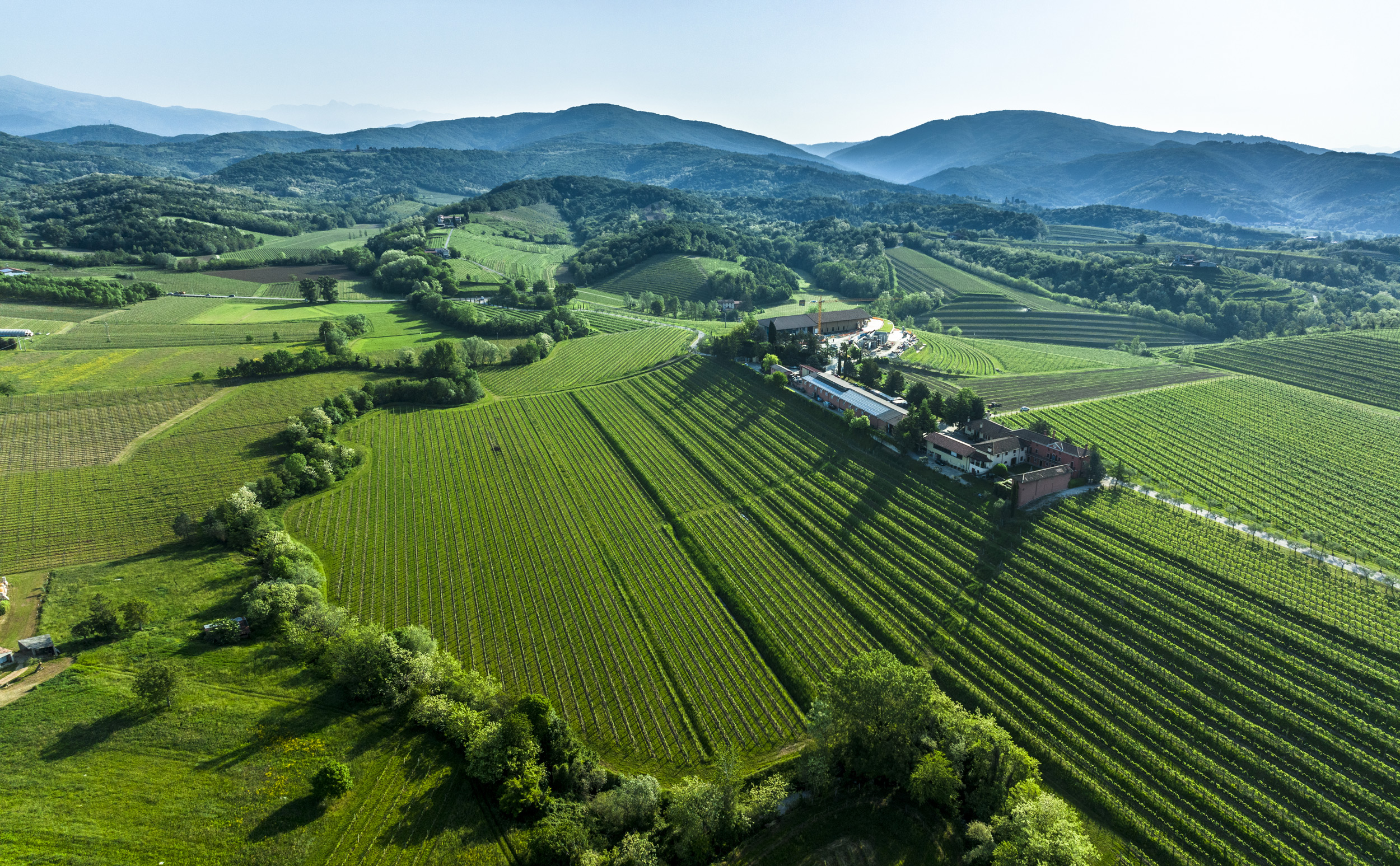 Vini del Friuli - Zorzettig